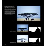 Freeman – L’Occhio del Fotografo – pagina interna