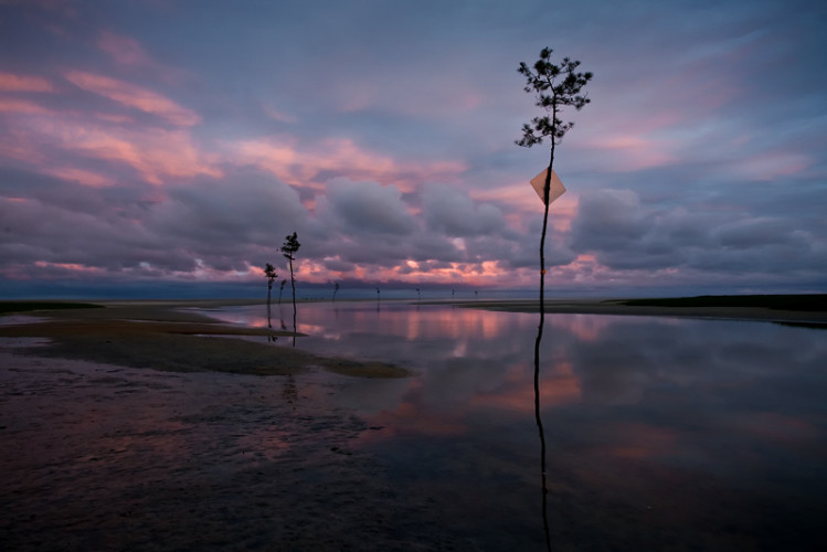 joel meyerowitz1938 1369666658 org 749x500 - Cosa ho imparato da  Joel Meyerowitz sulla Street Photography - fotostreet.it
