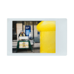 fotografia instantanea – polaroids.it