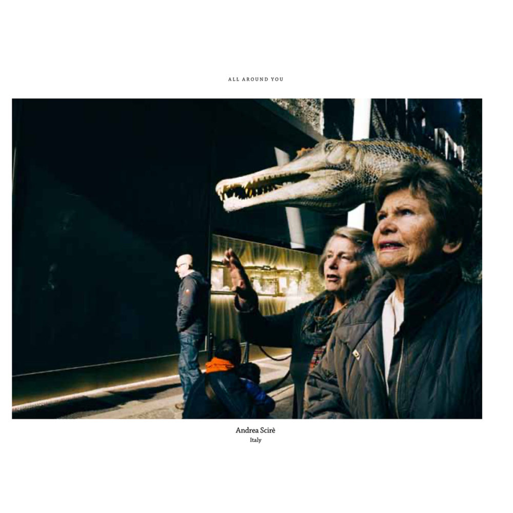 short-street-stories-martin-parr-tribute-andrea-scire3
